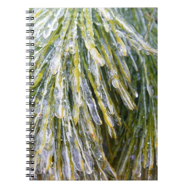 Ice Coated Pine Needles Winter Botanical Notebook (Front)