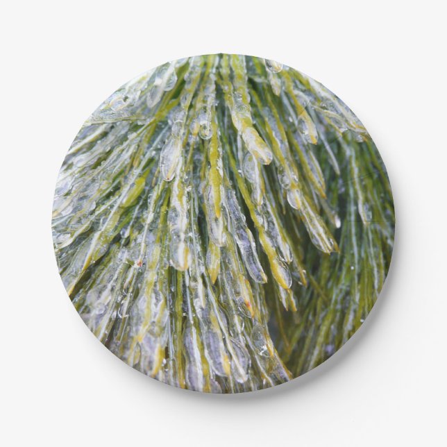 Ice Coated Pine Needles Winter Botanical Paper Plate (Front)