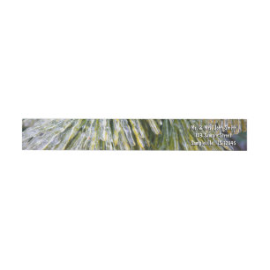 Ice Coated Pine Needles Winter Botanical Wrap Around Label