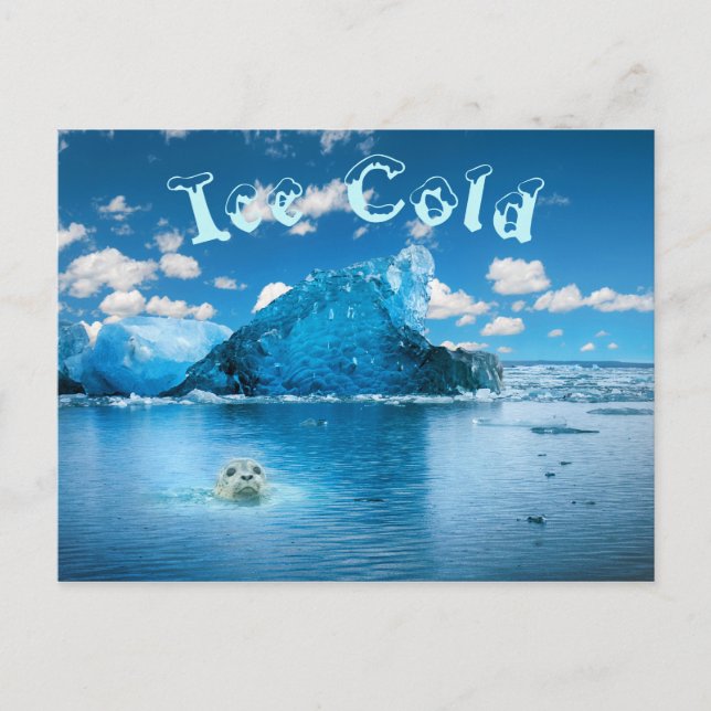 Ice Cold Fun Postcard (Front)