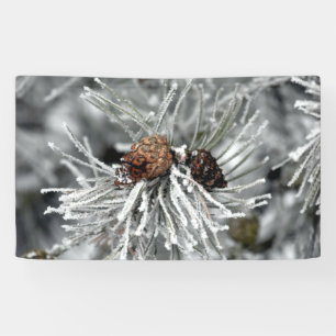 Ice Covered Pine Cones in Winter Banner
