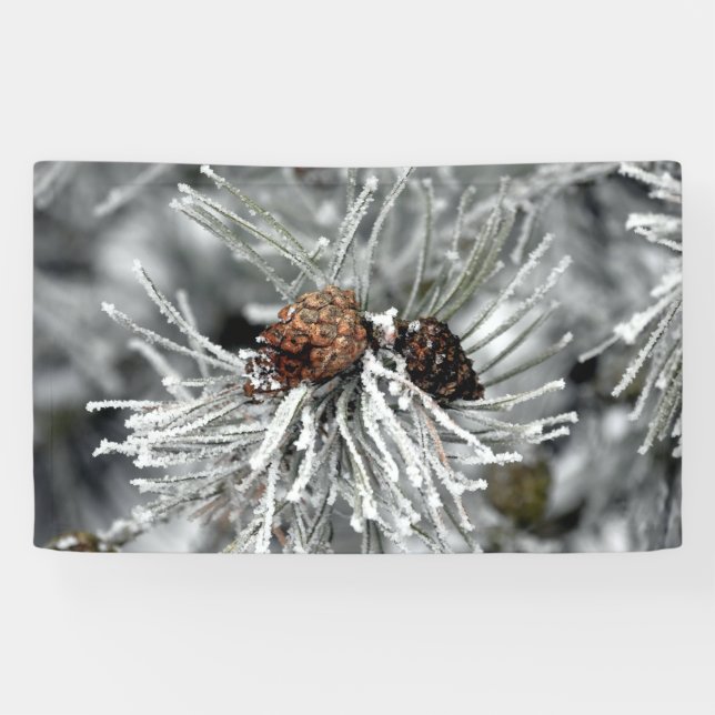 Ice Covered Pine Cones in Winter Banner (Horizontal)