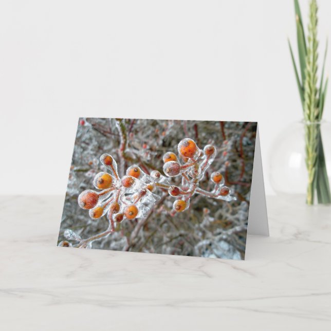 Ice-Covered Red Berries Note Card (Front)