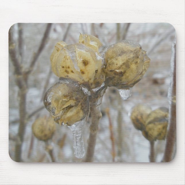 Ice-Covered Seedheads Mousepad (Front)