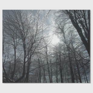 Ice covered trees sundown wrapping paper