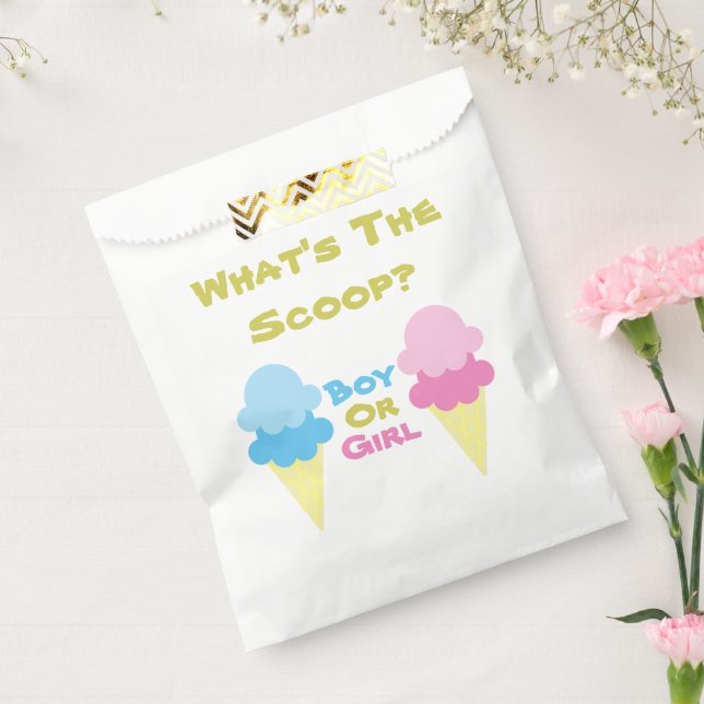 Ice Cream Gender Reveal Favour Bag (Sealed)