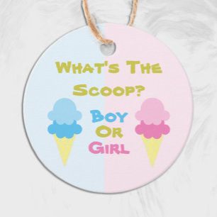 Ice Cream Gender Reveal Favour Tags