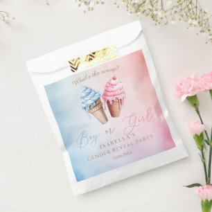 Ice cream Gender Reveal What's The Scoop  Favour Bag