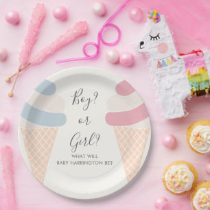 Ice Cream Pastel Colour Boy Or Girl Gender Reveal Paper Plate
