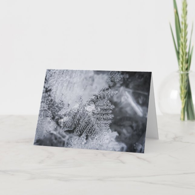 Ice Crystal Nature Photo Card (Front)