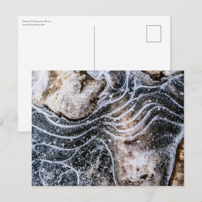 Ice Crystal Nature Photo Postcard (Front/Back)