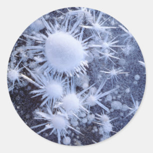 Ice crystals in the Sierra Classic Round Sticker