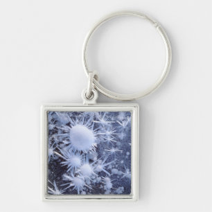 Ice crystals in the Sierra Keychain
