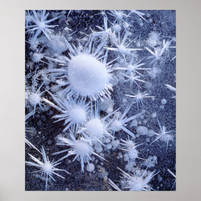 Ice crystals in the Sierra Poster (Front)