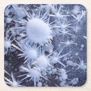 Ice crystals in the Sierra Square Paper Coaster