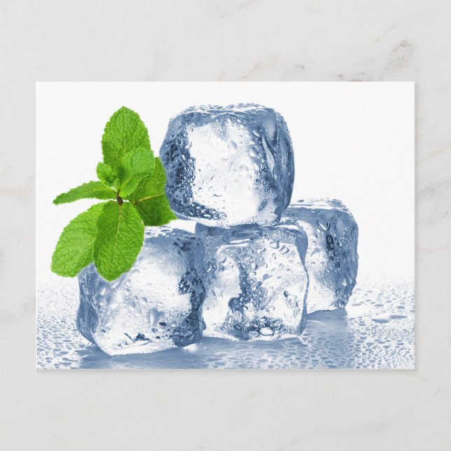 Ice cube cool yourself postcard (Front)