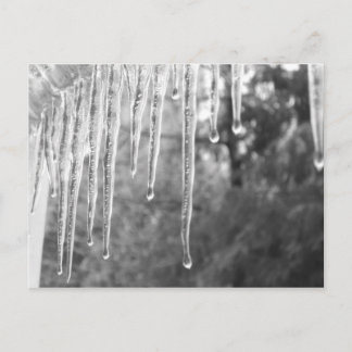 Ice Cycles Postcard