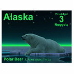 Ice Edge Polar Bear - Alaska Postage Photo Sculpture Magnet<br><div class="desc">Another in the series of postage stamps for an independent Alaska. A peaceful moment in the long Arctic night. A Polar Bear rests at the edge of an open area in the pack ice. The Northern Lights glow in the distance; bright stars twinkle overhead. Text reading "Alaska, " "Postage 3...</div>
