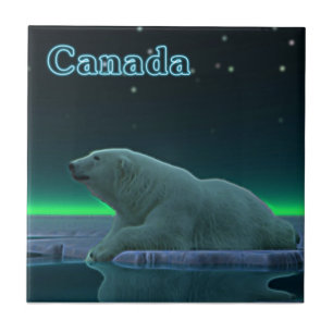 Ice Edge Polar Bear Tile