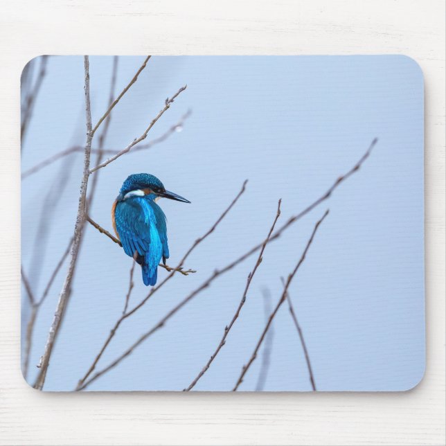 Ice Mouse Pad (Front)