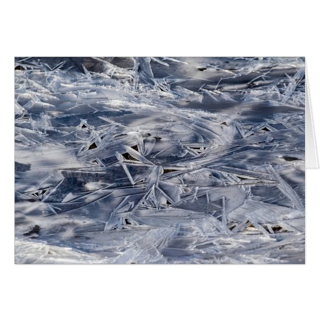 Ice Not ICE (Front Horizontal)