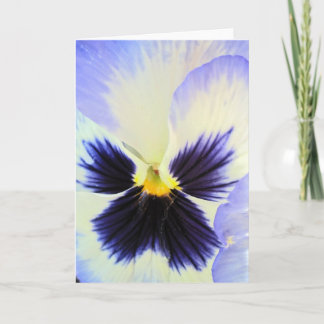 Ice Pansy Greeting Card