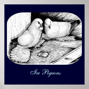 Ice Pigeons Poster