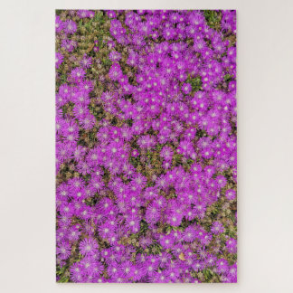 Ice Plant Purple Flowers (Difficult Level) Puzzle
