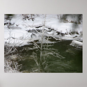 Ice Reflection Poster