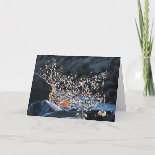 Ice Sculpture 7 x 5 Folded Greeting Card - blank (Front)