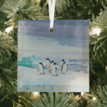 Ice & Snow | Adelie Penguins Antarctica Glass Ornament<br><div class="desc">This amazing Getty Images photo features a group of Adelie penguins rest on vivid blue ice in Antarctica.</div>