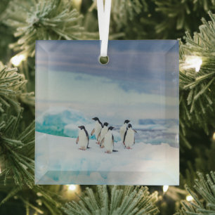 Ice & Snow   Adelie Penguins Antarctica Glass Ornament