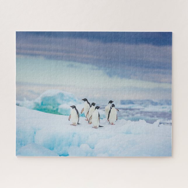 Ice & Snow | Adelie Penguins Antarctica Jigsaw Puzzle (Horizontal)