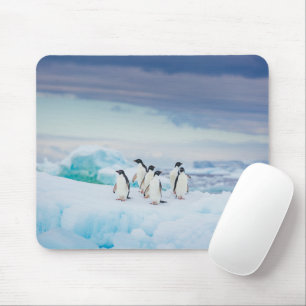 Ice & Snow Adelie Penguins Antarctica Mouse Pad
