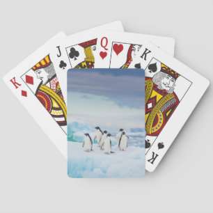 Ice & Snow Adelie Penguins Antarctica Playing Cards