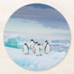 Ice & Snow | Adelie Penguins Antarctica Round Paper Coaster<br><div class="desc">This amazing Getty Images photo features a group of Adelie penguins rest on vivid blue ice in Antarctica.</div>