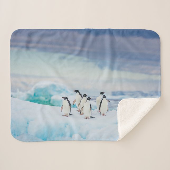 Ice & Snow | Adelie Penguins Antarctica Sherpa Blanket (Front (Horizontal))