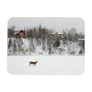Ice & Snow   Deer in Snow Quebec, Canada Magnet