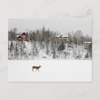 Ice & Snow | Deer in Snow Quebec, Canada Postcard