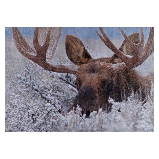 Ice & Snow | Grand Teton National Park, Wyoming Cutting Board (Front)