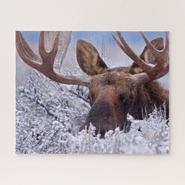 Ice & Snow | Grand Teton National Park, Wyoming Jigsaw Puzzle (Horizontal)
