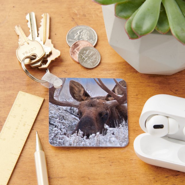 Ice & Snow | Grand Teton National Park, Wyoming Keychain (Desk)