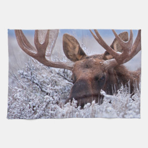 Ice & Snow   Grand Teton National Park, Wyoming Kitchen Towel