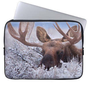 Ice & Snow Grand Teton National Park, Wyoming Laptop Sleeve