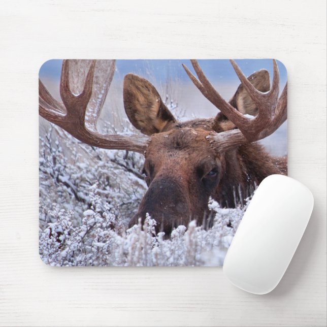 Ice & Snow | Grand Teton National Park, Wyoming Mouse Pad (With Mouse)