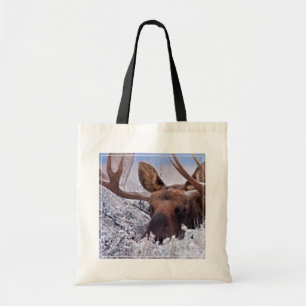 Ice & Snow Grand Teton National Park, Wyoming Tote Bag