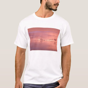 Ice, Snow, Icebergs in the channels along the T-Shirt