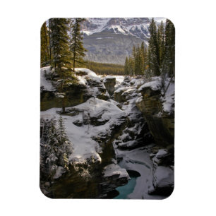 Ice & Snow Jasper National Park Alberta, Canada Magnet