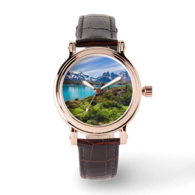 Ice & Snow | Lake Pehoe, Patagonia, Chile Watch (Front)