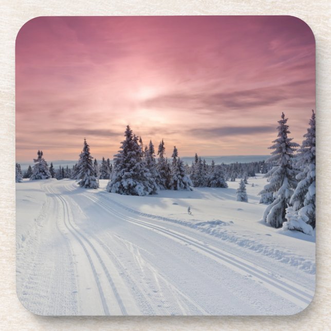Ice & Snow | Lillehammer, Norway Coaster (Front)